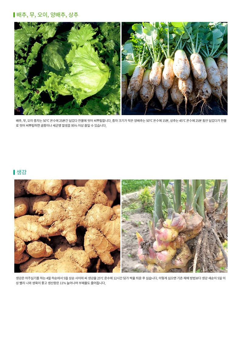 유기농농사준비는친환경종자소독부터_3.jpg
