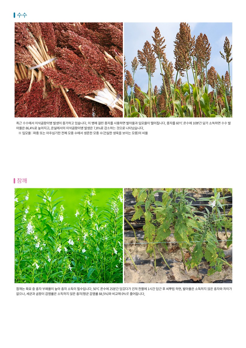유기농농사준비는친환경종자소독부터_4.jpg