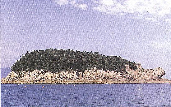 금일 거북섬