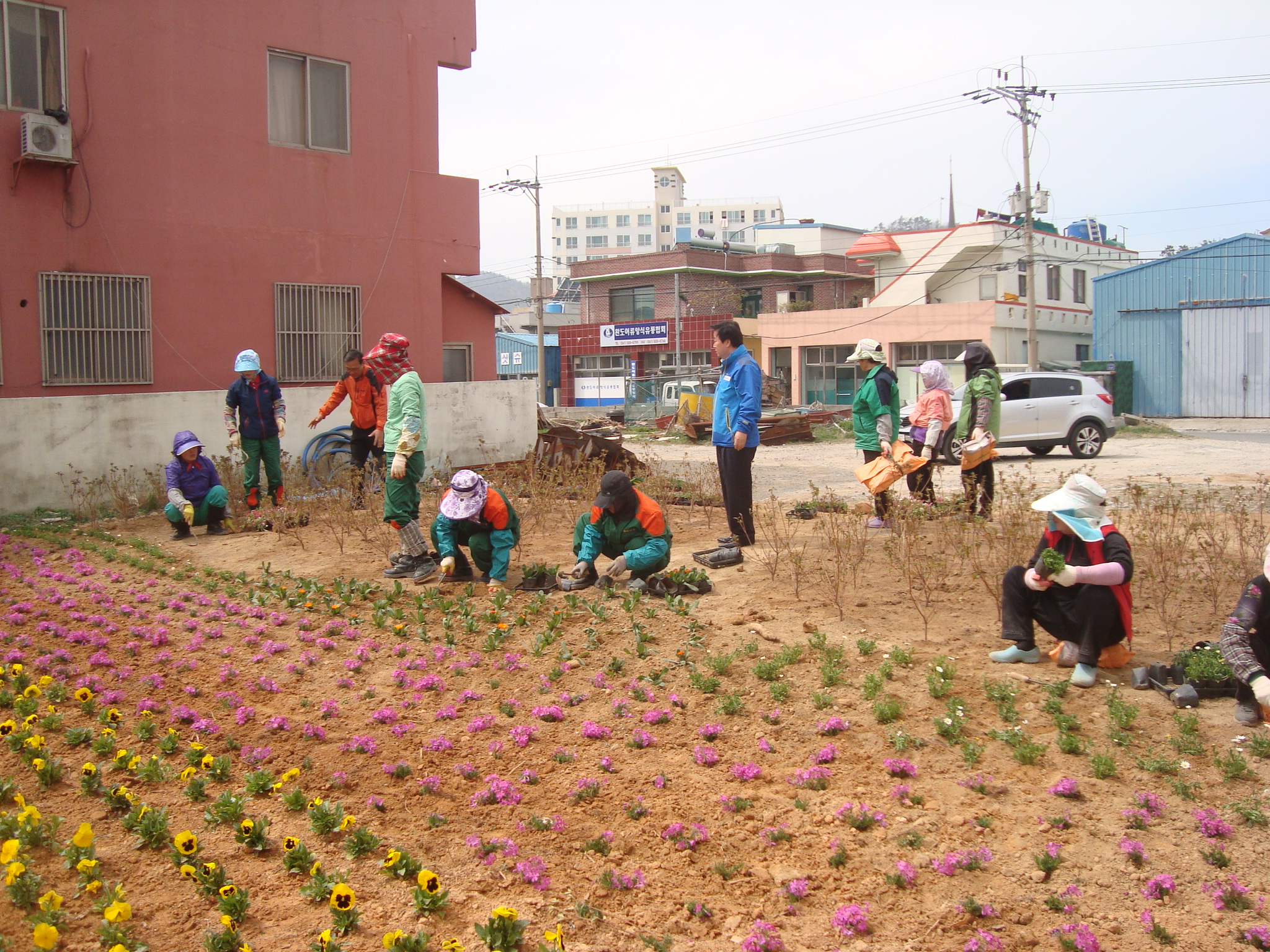 완도읍 쓰레기 공한지가 꽃동산으로 변모