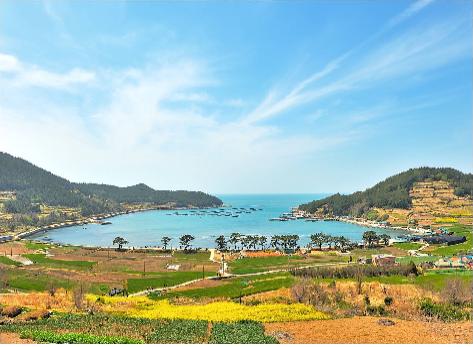 한국에서 가장 아름다운 농촌마을은? 완도 청산도
