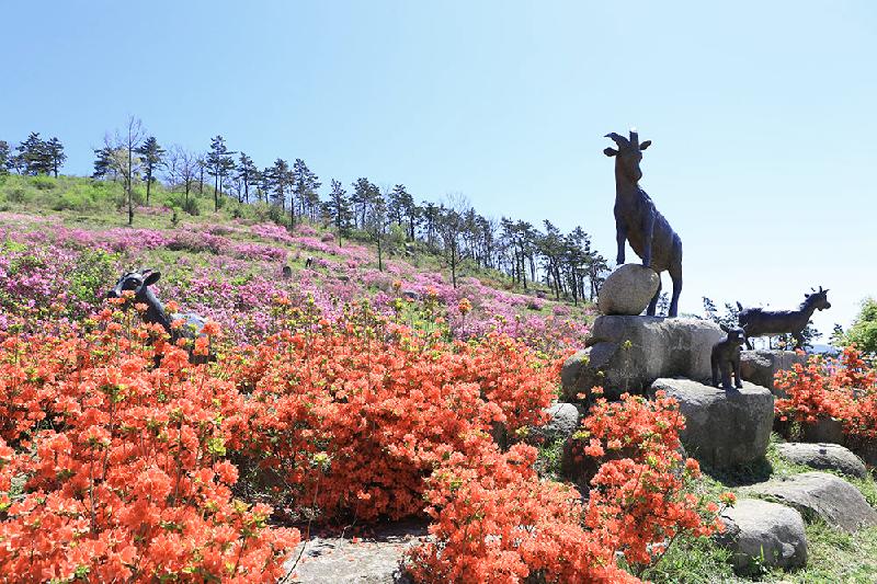약산 삼문산 진달래 공원